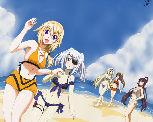 ＩＳ　シャル、ラウラ、箒、セシリア、２組だから居ない人の水着