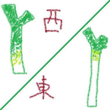 ミクネギ、東日本と西日本の違い