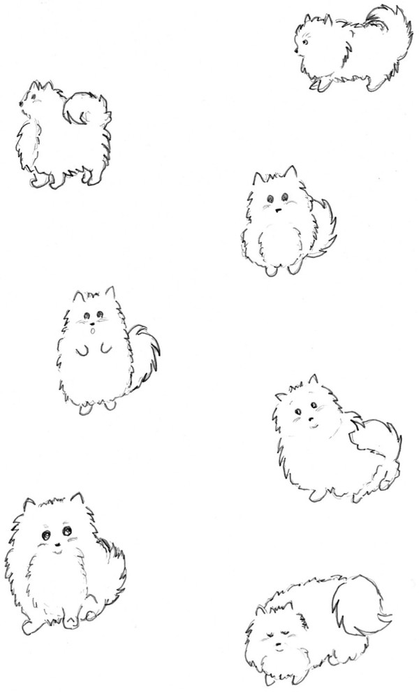 ポメラニアン落書き