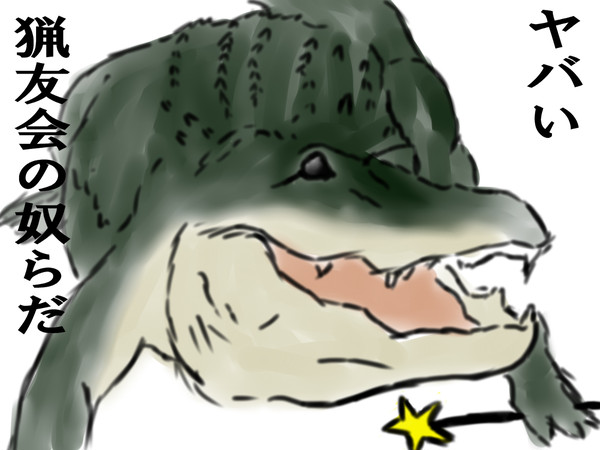 こんばんわに