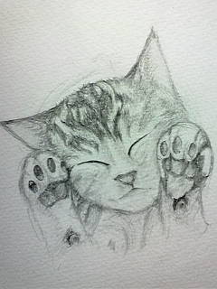 子猫