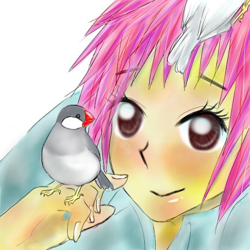 鳥