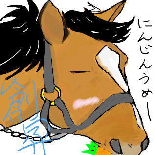 トランセンドの食事
