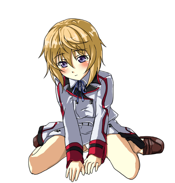 【IS】シャルロット・デュノア