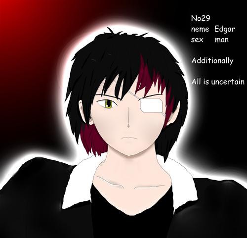 二次創作小説主人公