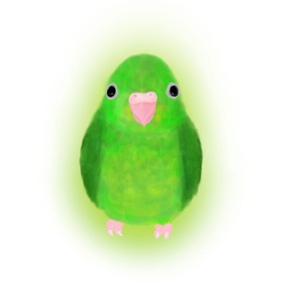 まめるりは