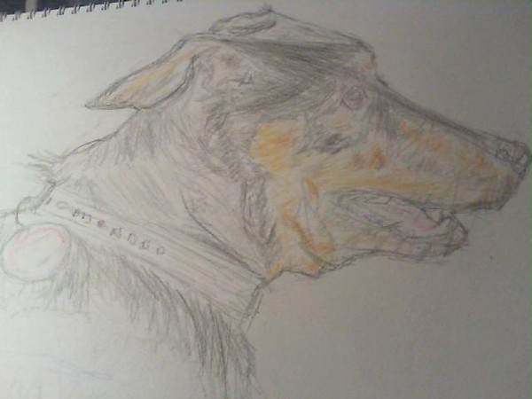 inu
