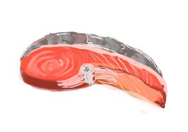 しゃけの切り身