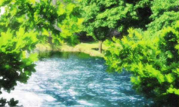 緑に囲まれた清流