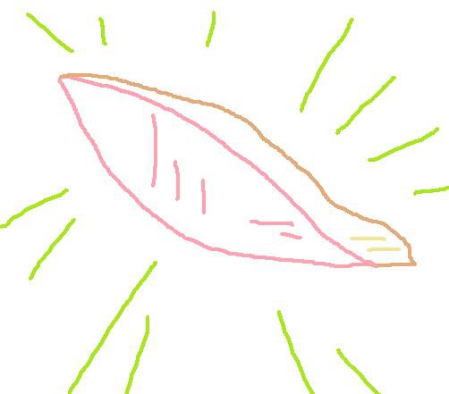 しゃけの切り身
