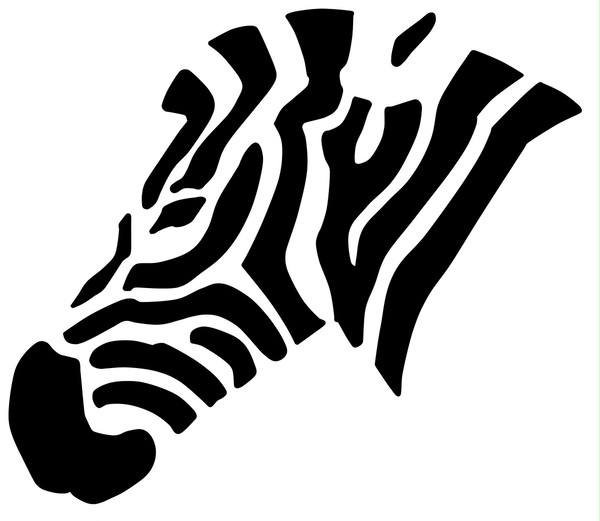 zebra