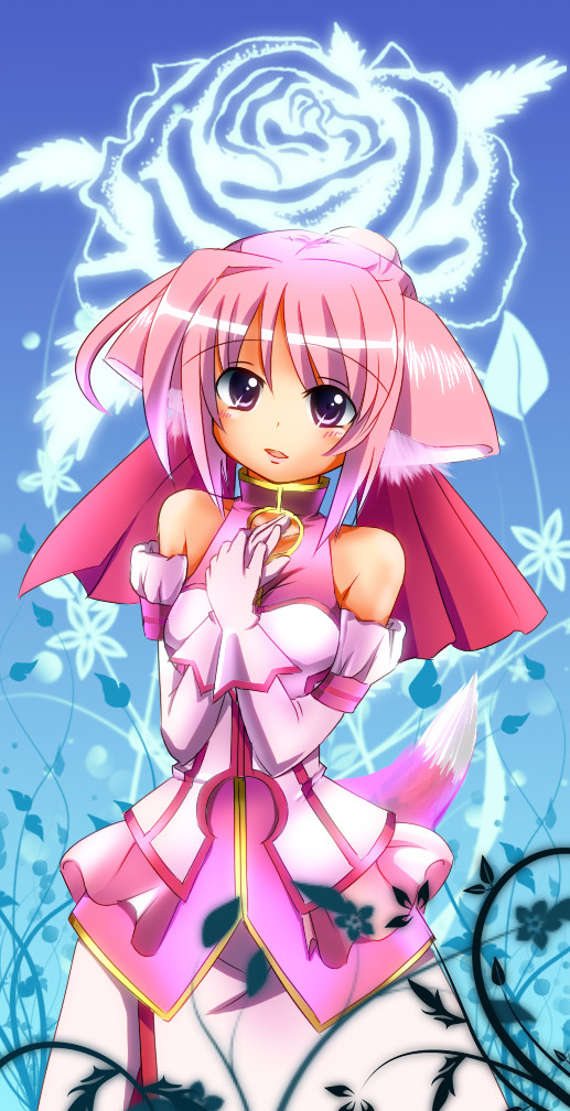 わんこ姫