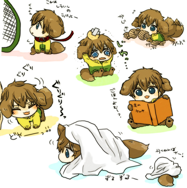 けんわんが愛おしくて詰め合わせ