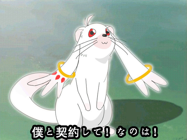 僕と契約して！！高町なのは！