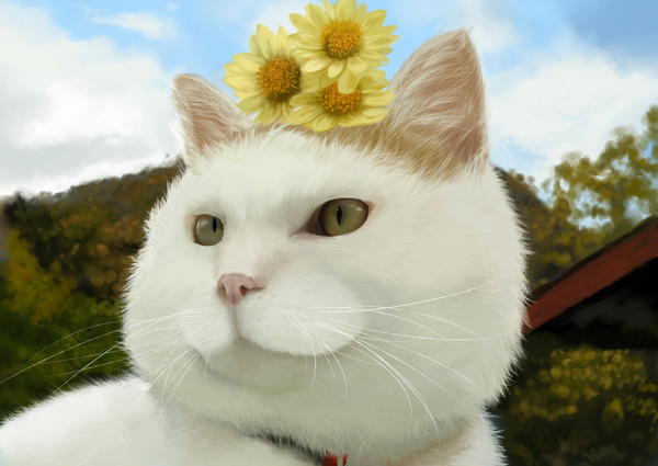 猫叔