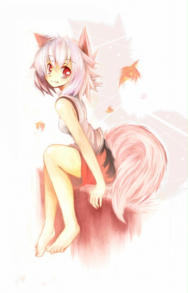 椛
