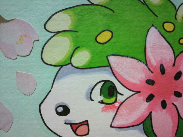 シェイミ