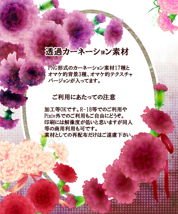【透過素材2】カーネーション素材
