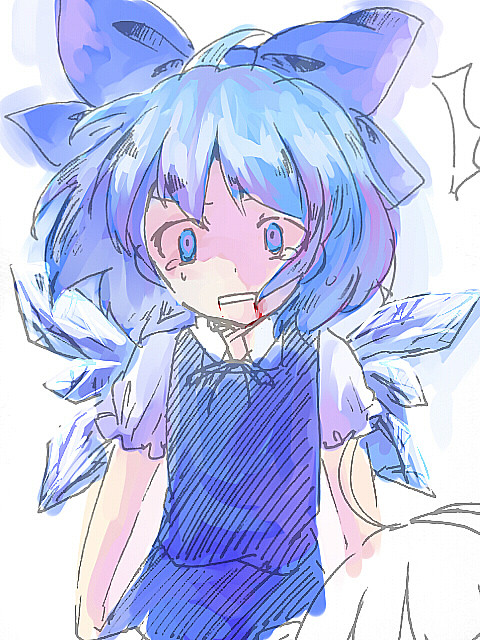 バカ⑨！
