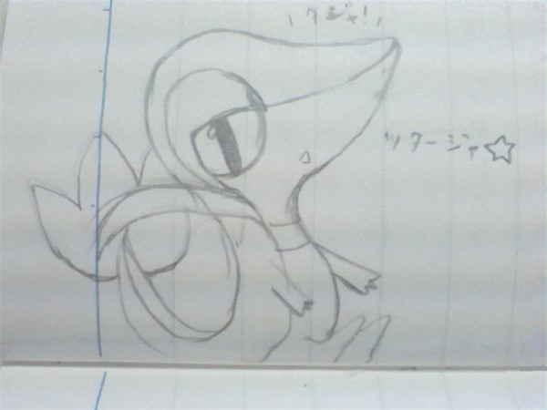 ﾂﾀｰｼﾞｬさん