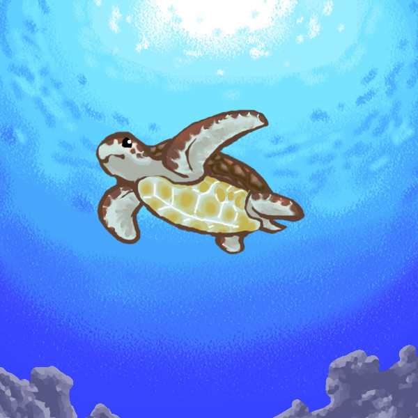 ウミガメさんが今日も行く