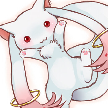にくきゅう