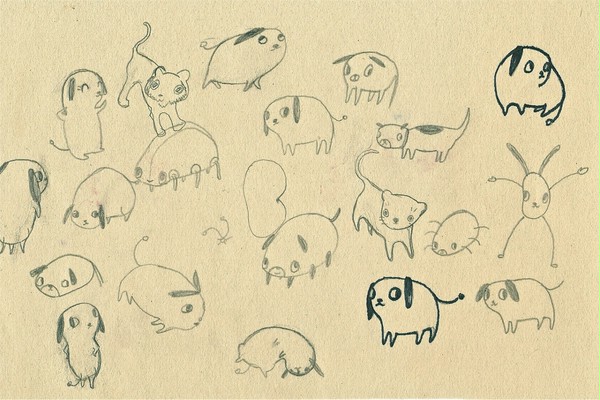 Puppy parade