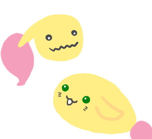 ラビとおたま