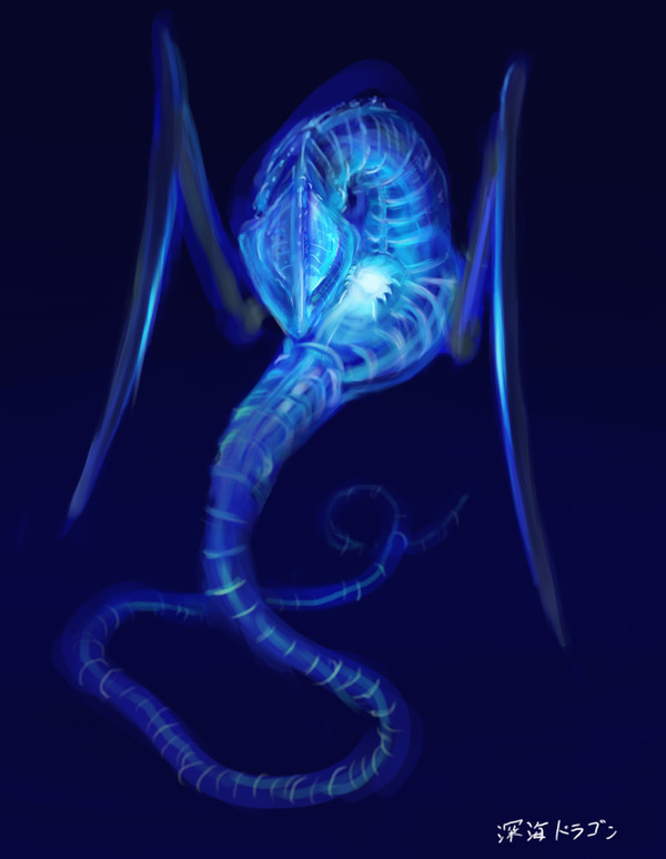 深海ドラゴン