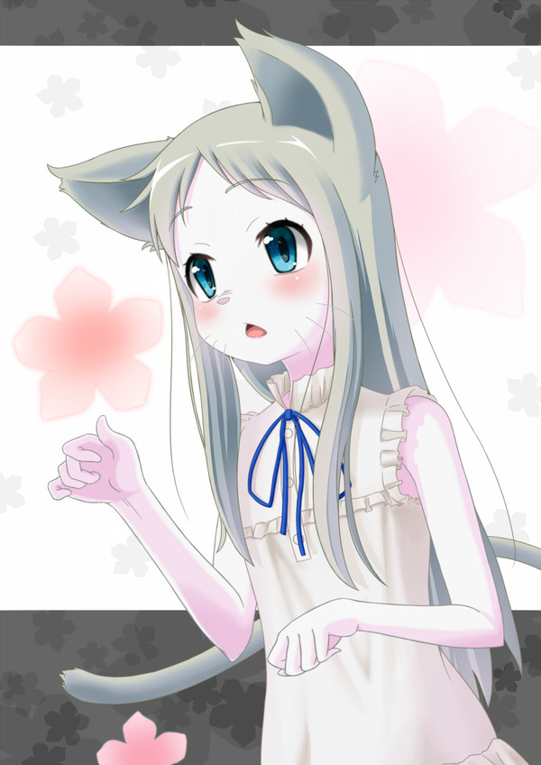 めんにゃ!