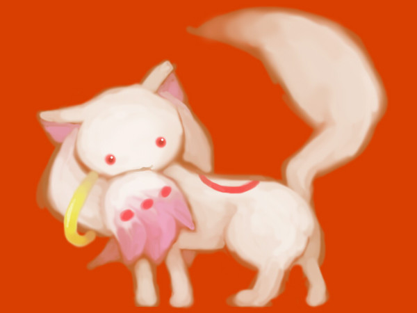 きゅっぷい