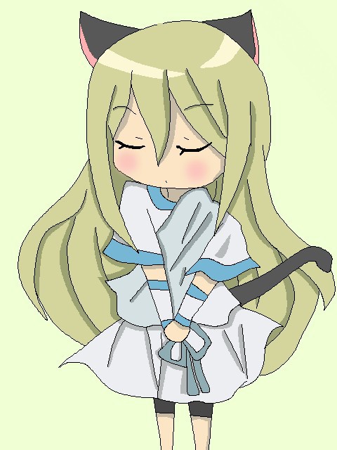 照美猫化