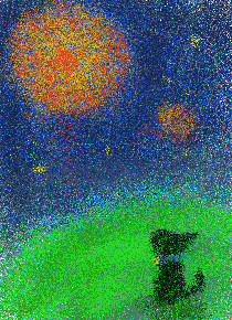 夜空に咲く大輪