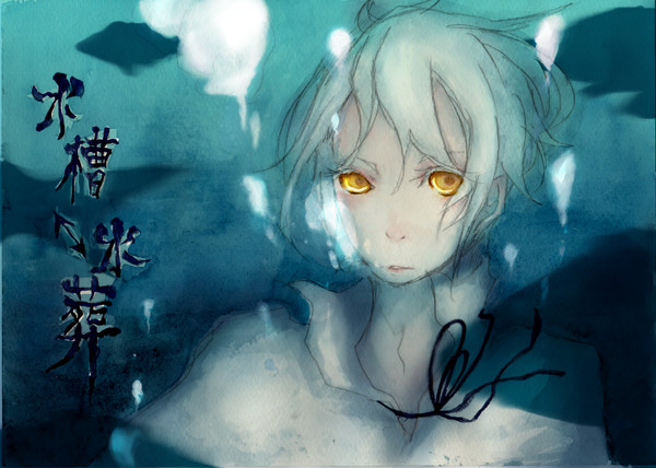 水槽⇔水葬