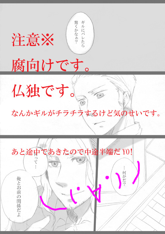 【APH】触っていいのは兄貴だけじゃないのよ【仏独】