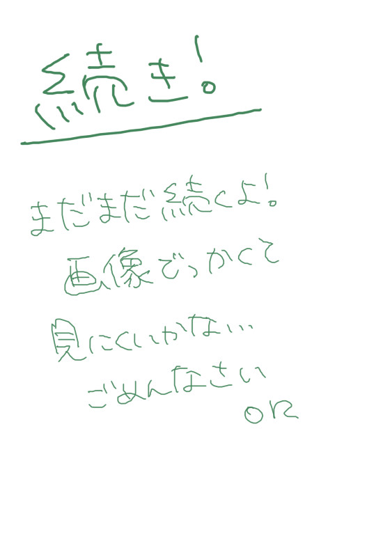 SAIで色塗りメイキング~こじゅとアニキと私~ その2