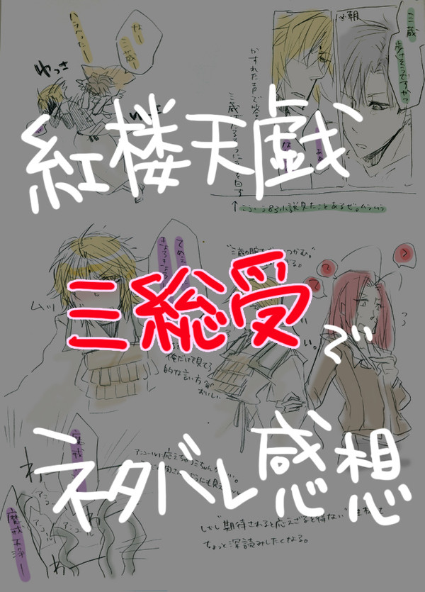 紅楼天戯読みました