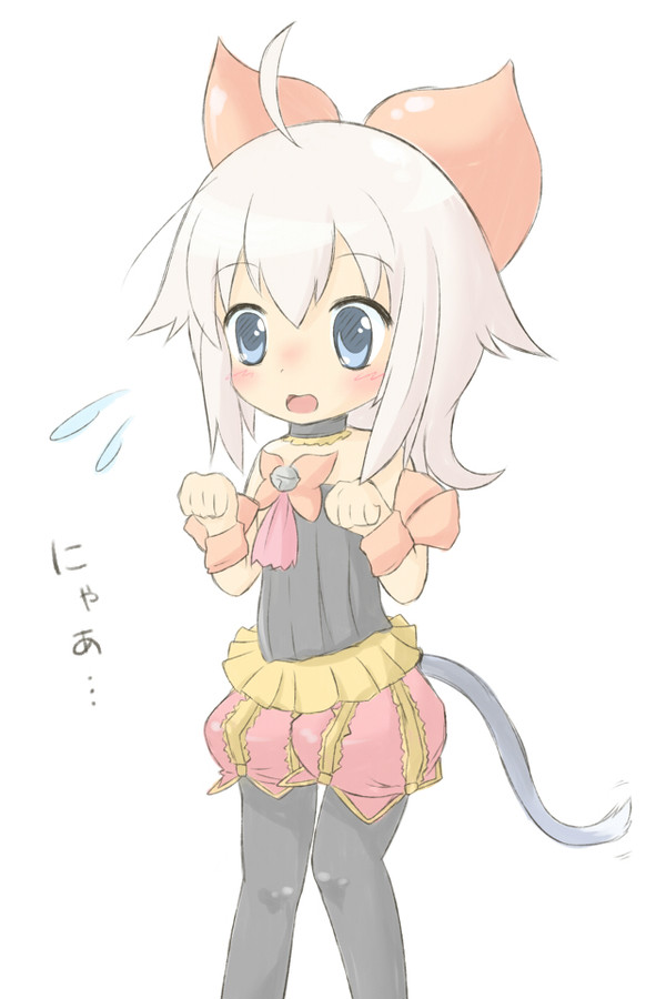 ２０００年彷徨った猫
