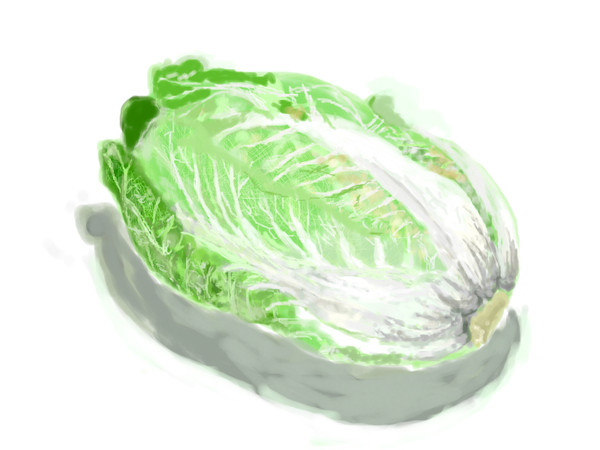 白菜
