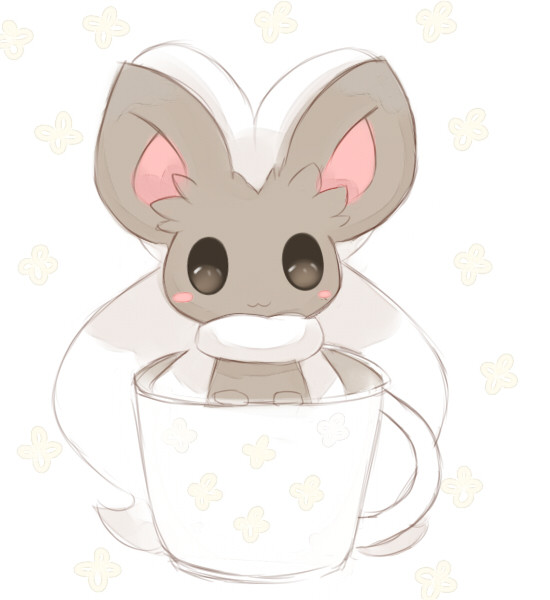 Cinccino