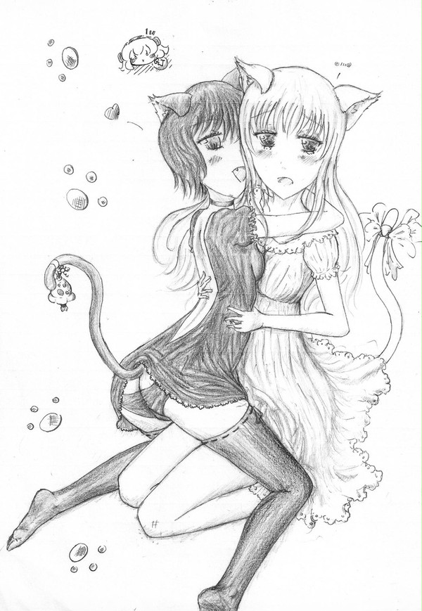 百合猫2