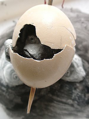 Egg Monster