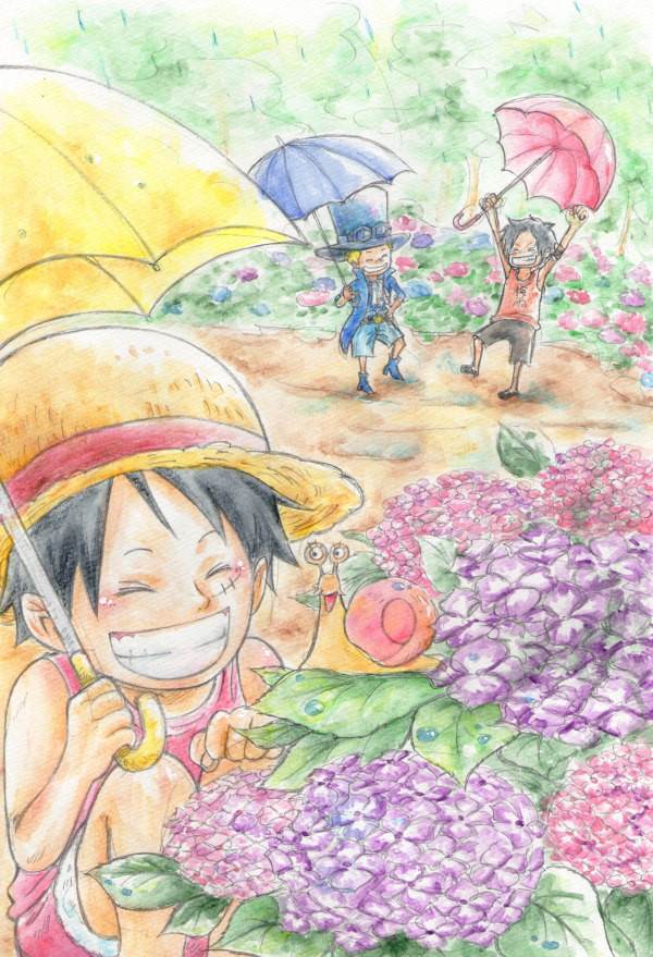 紫陽花と