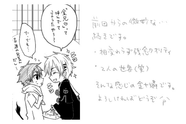 【腐】一番好きな【金造＋燐】