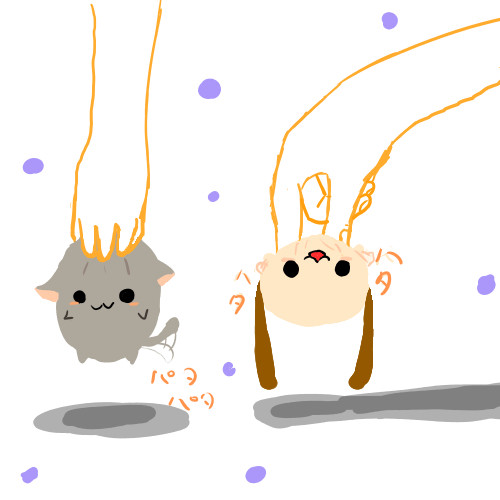 ぬことわんわお