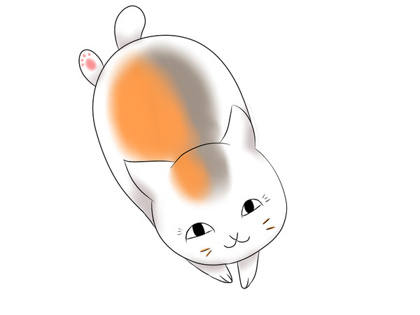 ニャンコ先生