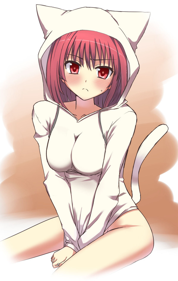 保守絵