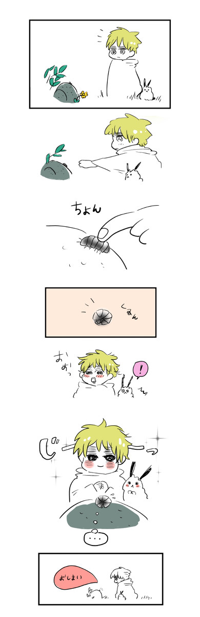 だんごむし