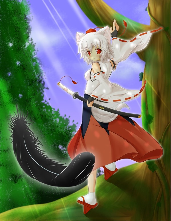 森の椛