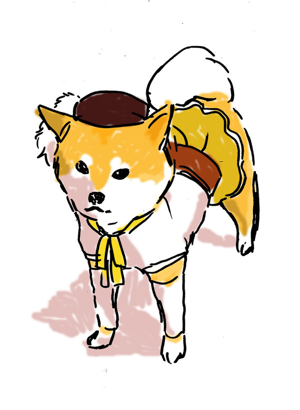 柴犬コスプレ・まどマギのマミさん